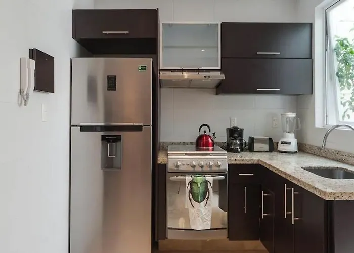 Apartamento Condesa Amsterdam 101 Serene 1 Bed1bath On Amsterdam Av México DF
