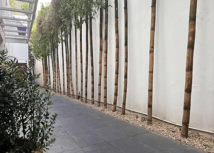 Condesa Amsterdam 101 Serene 1 Bed1bath On Amsterdam Av * México DF